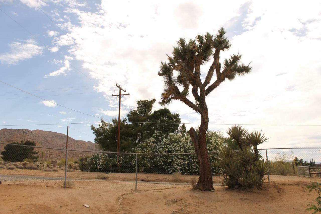 Eclectic Joshua Tree Villa ภายนอก รูปภาพ